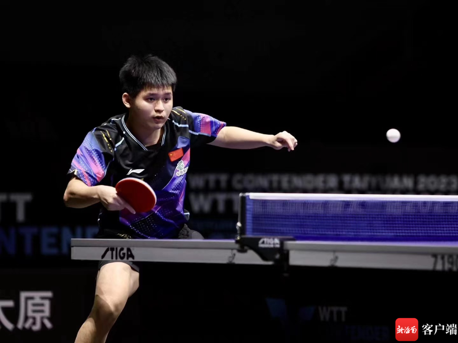 他们不仅赢 他们不仅赢